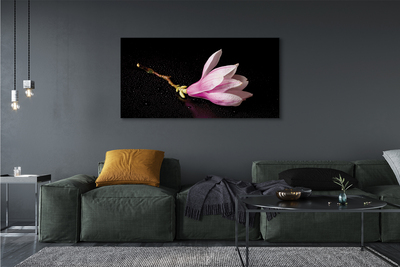 Quadro su tela Acqua di fiori