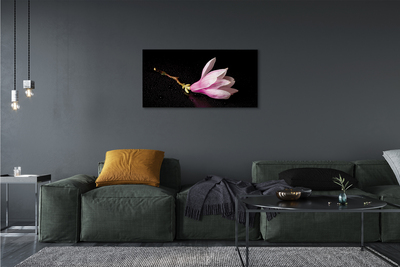 Quadro su tela Acqua di fiori