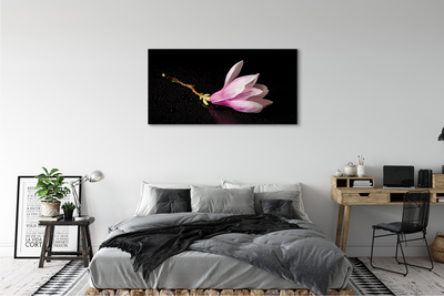 Quadro su tela Acqua di fiori