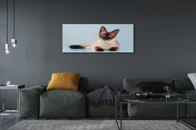 Quadro su tela Gatto bugiardo