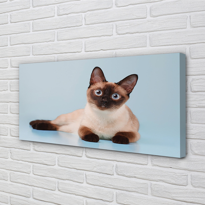 Quadro su tela Gatto bugiardo