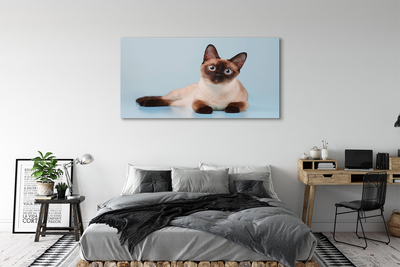 Quadro su tela Gatto bugiardo