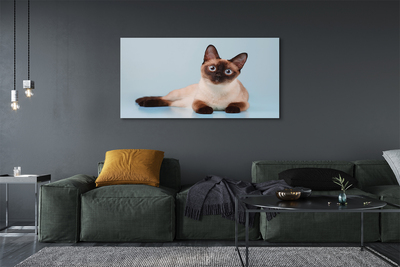 Quadro su tela Gatto bugiardo