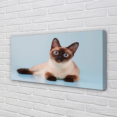 Quadro su tela Gatto bugiardo