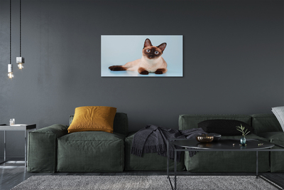 Quadro su tela Gatto bugiardo