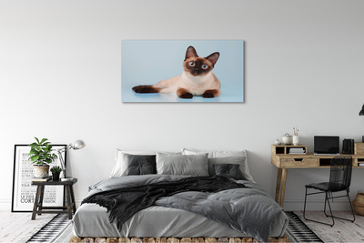 Quadro su tela Gatto bugiardo