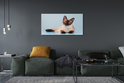 Quadro su tela Gatto bugiardo