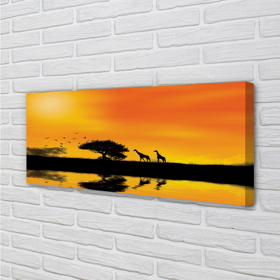 Quadro su tela Giraffe West Tree Lake