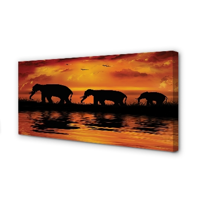 Stampa quadro su tela Lago di West Elephants