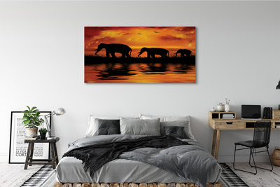 Stampa quadro su tela Lago di West Elephants