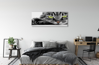 Quadro su tela Gatto grigio-nero