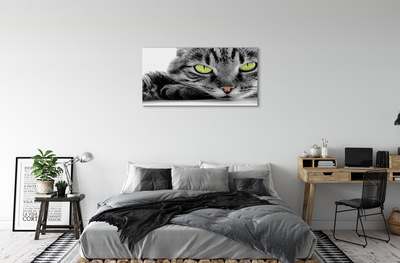 Quadro su tela Gatto grigio-nero