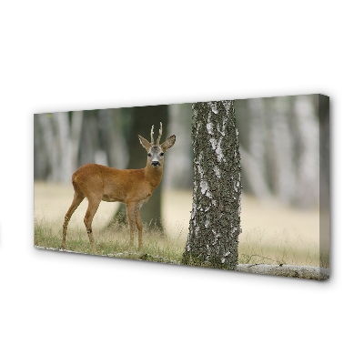 Quadro su tela Foresta di Jeleń