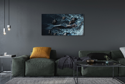 Stampa quadro su tela Sirena Mare