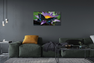 Foto quadro su tela Fiore di farfalla