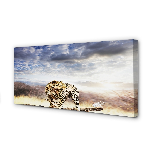 Quadro su tela Panther Cloud