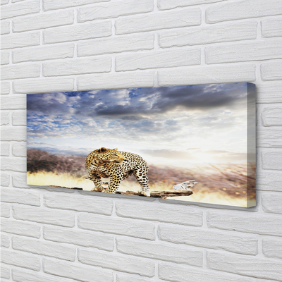 Quadro su tela Panther Cloud