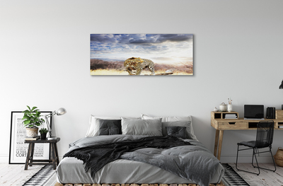 Quadro su tela Panther Cloud