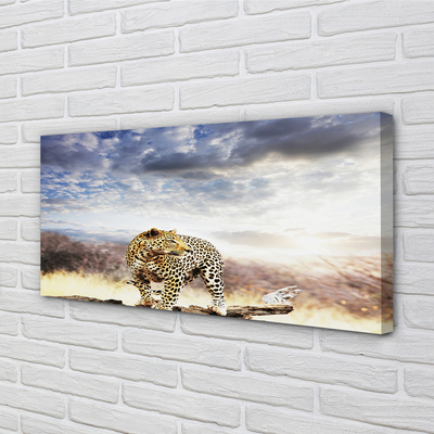 Quadro su tela Panther Cloud