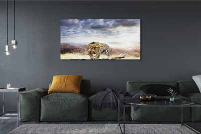 Quadro su tela Panther Cloud