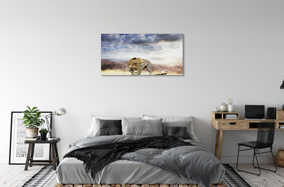 Quadro su tela Panther Cloud