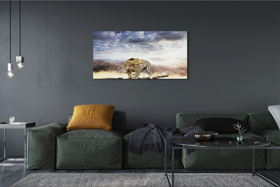 Quadro su tela Panther Cloud