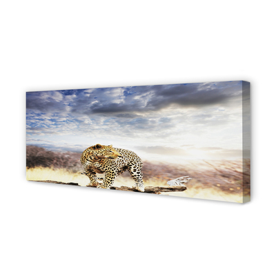 Quadro su tela Panther Cloud