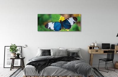 Quadro su tela Farfalla colorata sui fiori