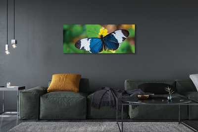 Quadro su tela Farfalla colorata sui fiori