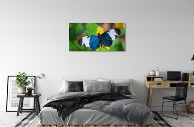 Quadro su tela Farfalla colorata sui fiori