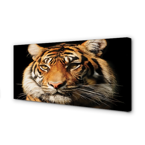 Quadro su tela Tigre