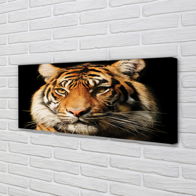 Quadro su tela Tigre