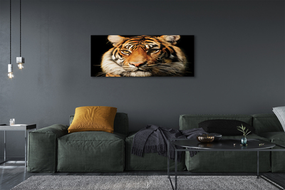 Quadro su tela Tigre