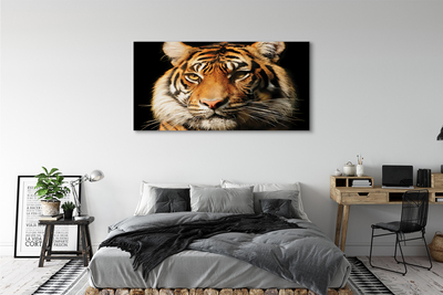 Quadro su tela Tigre