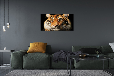 Quadro su tela Tigre