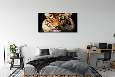 Quadro su tela Tigre