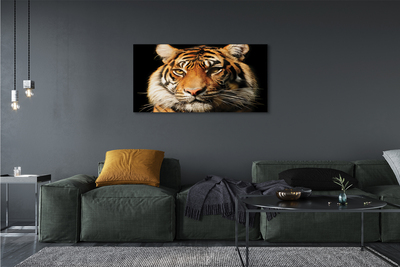 Quadro su tela Tigre