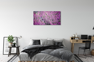 Quadro su tela Campo heather