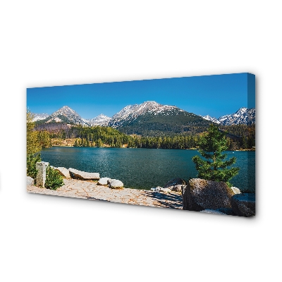 Quadro su tela Lago delle montagne