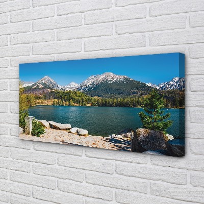 Quadro su tela Lago delle montagne