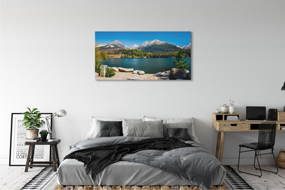 Quadro su tela Lago delle montagne