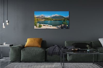 Quadro su tela Lago delle montagne