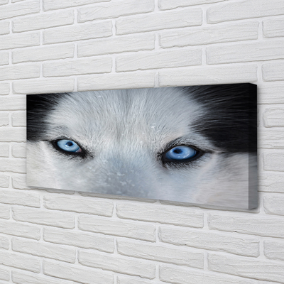 Stampa quadro su tela Eyes Wolf