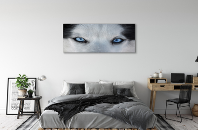 Stampa quadro su tela Eyes Wolf