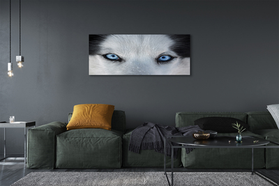 Stampa quadro su tela Eyes Wolf