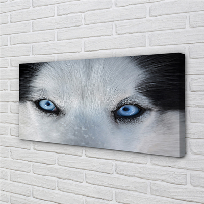 Stampa quadro su tela Eyes Wolf