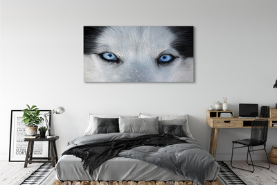 Stampa quadro su tela Eyes Wolf