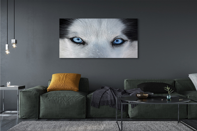 Stampa quadro su tela Eyes Wolf