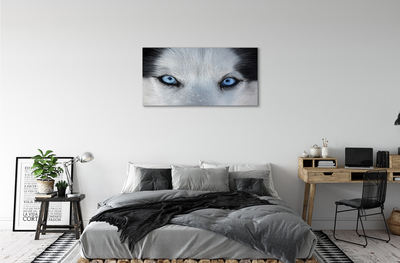 Stampa quadro su tela Eyes Wolf