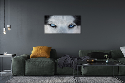 Stampa quadro su tela Eyes Wolf